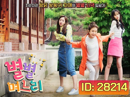 Sisters in Law / All Kinds of Daughters in Law
