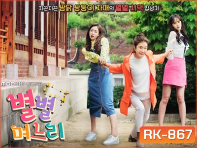 Sisters in Law / All Kinds of Daughters in Law