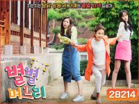 Sisters in Law / All Kinds of Daughters in Law