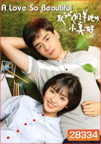 A Love So Beautiful รักนี้มีไว้เพื่อเธอ (23 ตอนจบ)