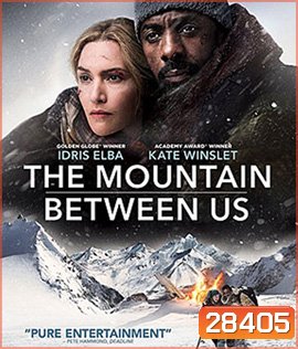 The Mountain Between Us (2017)
