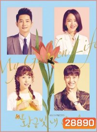 My Golden Life ชะตารักเหนือลิขิต