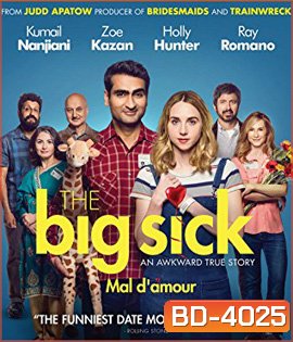 The Big Sick (2017) รักมันป่วย (ซวยแล้วเราเข้ากันไม่ได้)