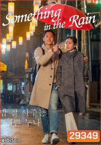 Something in the Rain ( 16 ตอนจบ )