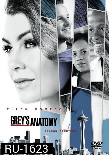 Grey's anatomy Season 14 แพทย์มือใหม่หัวใจเกินร้อย ปี 14 ( 24 ตอนจบ )