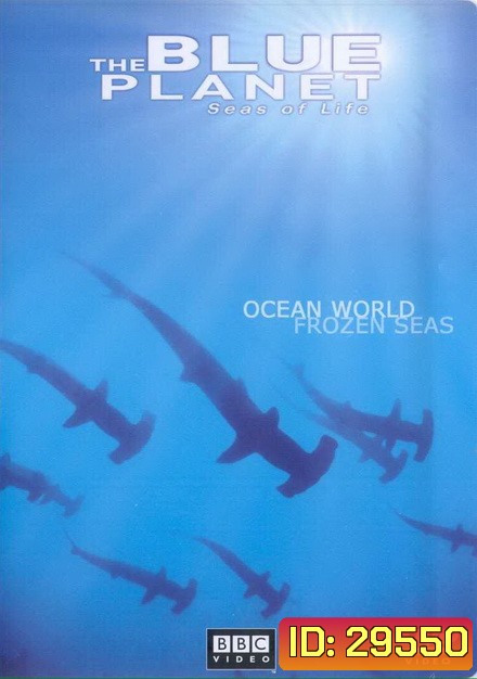 BLUE PLANET ตอน ocean world frozen sea