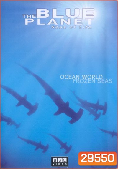 BLUE PLANET ตอน ocean world frozen sea