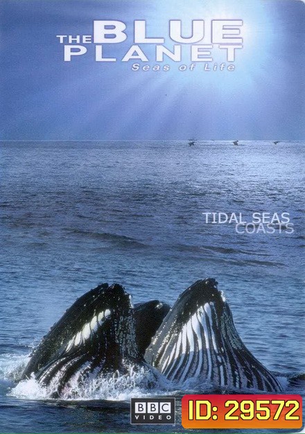 BLUE PLANET ตอน TIDAL SEAS COASTS