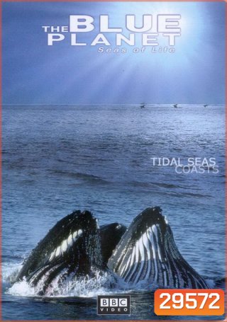 BLUE PLANET ตอน TIDAL SEAS COASTS