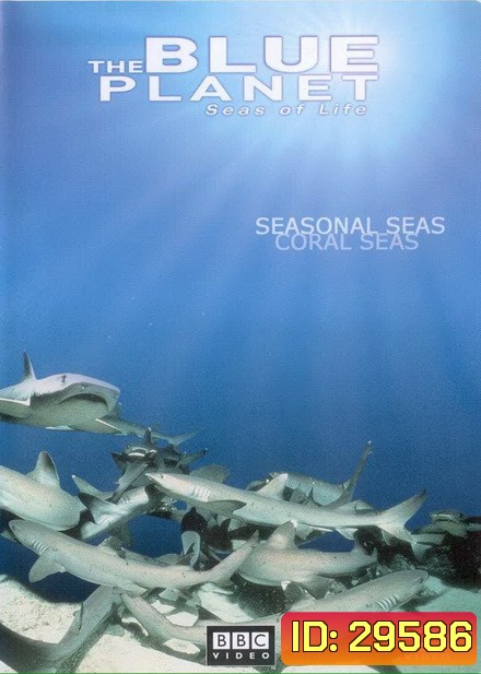 BLUE PLANET ตอน Season AL SEAS