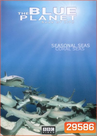 BLUE PLANET ตอน Season AL SEAS