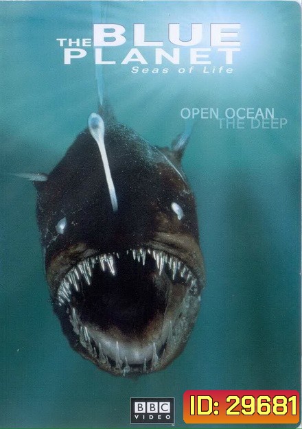 BLUE PLANET ตอน Open Ocean The Deep