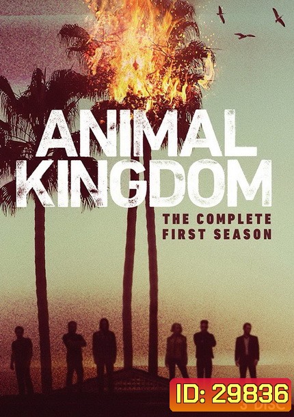 ANIMAL KINGDOM ตระกูลชั่ว ครอบครัวโจร Season 1 (10 ตอนจบ)