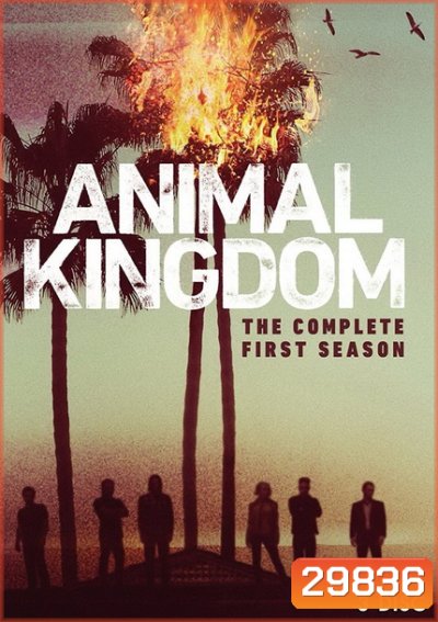ANIMAL KINGDOM ตระกูลชั่ว ครอบครัวโจร Season 1 (10 ตอนจบ)