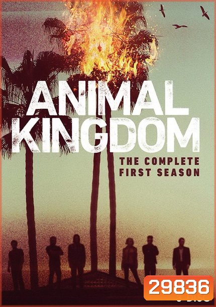 ANIMAL KINGDOM ตระกูลชั่ว ครอบครัวโจร Season 1 (10 ตอนจบ)