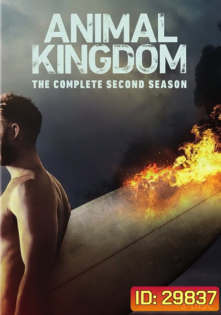 ANIMAL KINGDOM ตระกูลชั่ว ครอบครัวโจร Season 2 (13 ตอนจบ)