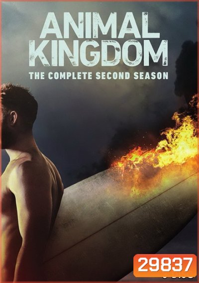 ANIMAL KINGDOM ตระกูลชั่ว ครอบครัวโจร Season 2 (13 ตอนจบ)