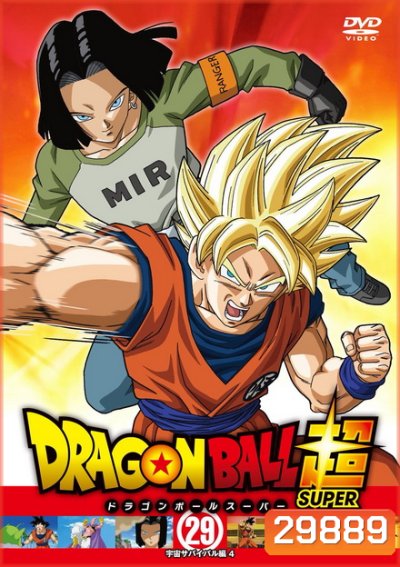Dragon Ball Super Vol.29