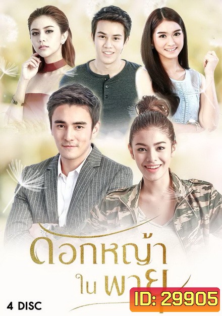 ดอกหญ้าในพายุ ( 16 ตอนจบ + EXTRA )