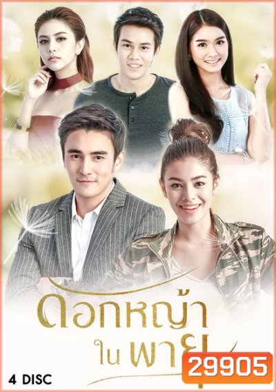 ดอกหญ้าในพายุ ( 16 ตอนจบ + EXTRA )