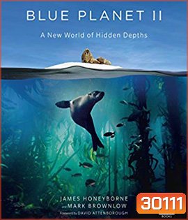 Blue Planet II (2017) A New World of Hidden Depths