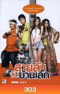 สายลับจับบ้านเล็ก