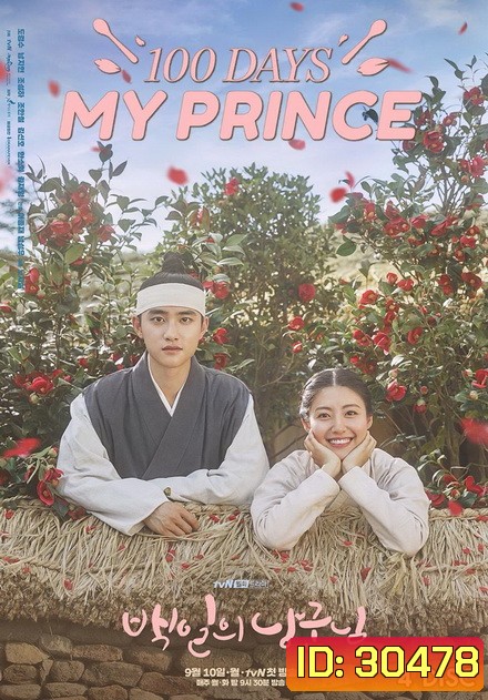 100 Days My Prince ( 16 ตอนจบ )