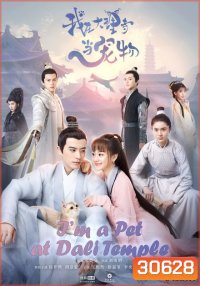 I'm a Pet at Dali Temple ( 22 ตอนจบ )