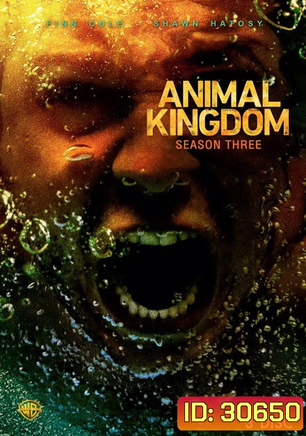 ANIMAL KINGDOM ตระกูลชั่ว ครอบครัวโจร Season 3 (13 ตอนจบ)