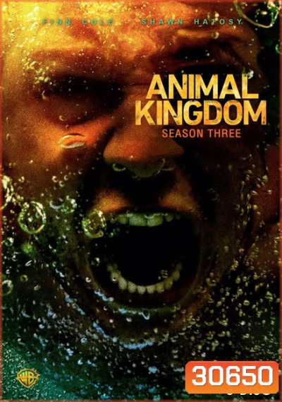 ANIMAL KINGDOM ตระกูลชั่ว ครอบครัวโจร Season 3 (13 ตอนจบ)