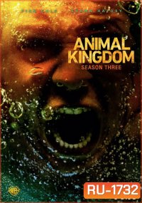 ANIMAL KINGDOM ตระกูลชั่ว ครอบครัวโจร Season 3 (13 ตอนจบ)
