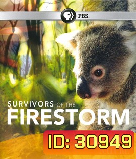 Nature: Survivors of the Firestorm