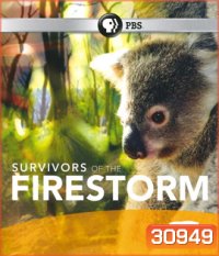 Nature: Survivors of the Firestorm