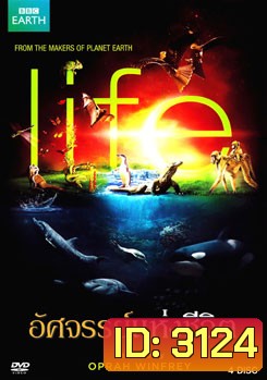 Life อัศจรรย์แห่งชีวิต