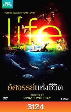 Life อัศจรรย์แห่งชีวิต