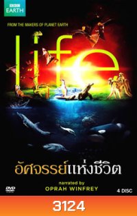 Life อัศจรรย์แห่งชีวิต