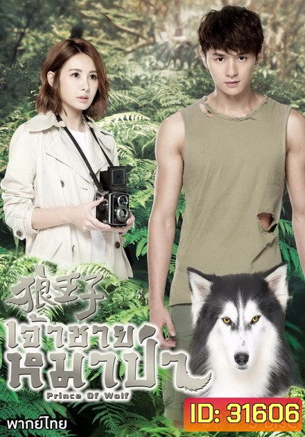Prince Of Wolf หยุดหัวใจ...เจ้าชายหมาป่า ( 30 ตอนจบ )
