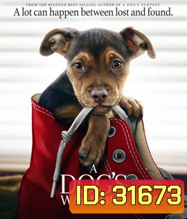A Dog's Way Home (2019) เพื่อนรักผจญภัยสี่ร้อยไมล์