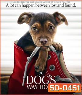 A Dog's Way Home (2019) เพื่อนรักผจญภัยสี่ร้อยไมล์