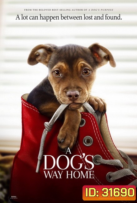 A Dog's Way Home (2019) เพื่อนรักผจญภัยสี่ร้อยไมล์