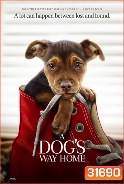 A Dog's Way Home (2019) เพื่อนรักผจญภัยสี่ร้อยไมล์