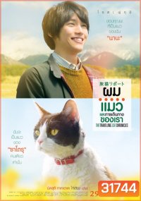 ผม แมว และการเดินทางของเรา The Travelling Cat Chronicles
