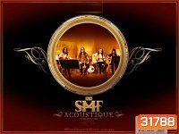 หิน เหล็ก ไฟ ชุด SMF ACOUSTIQUE