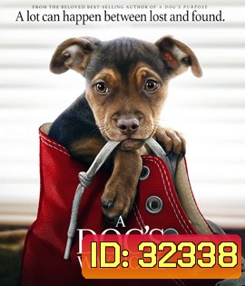 A Dog's Way Home (2019) เพื่อนรักผจญภัยสี่ร้อยไมล์
