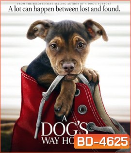A Dog's Way Home (2019) เพื่อนรักผจญภัยสี่ร้อยไมล์