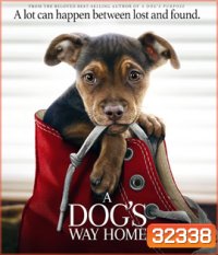 A Dog's Way Home (2019) เพื่อนรักผจญภัยสี่ร้อยไมล์