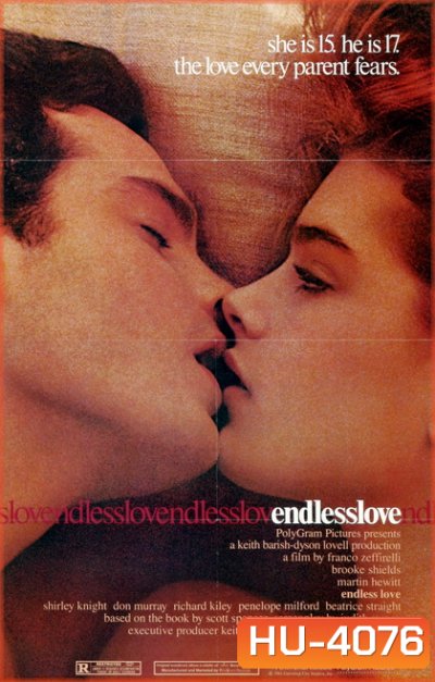 Endless Love วุ่นรักไม่รู้จบ (1981)