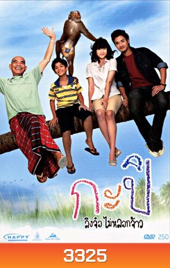 กะปิ ลิงจ๋อไม่หลอกจ้าว