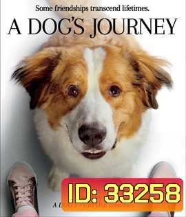 A Dog's Journey (2019) หมา เป้าหมาย และเด็กชายของผม 2