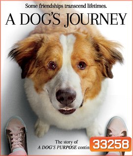 A Dog's Journey (2019) หมา เป้าหมาย และเด็กชายของผม 2